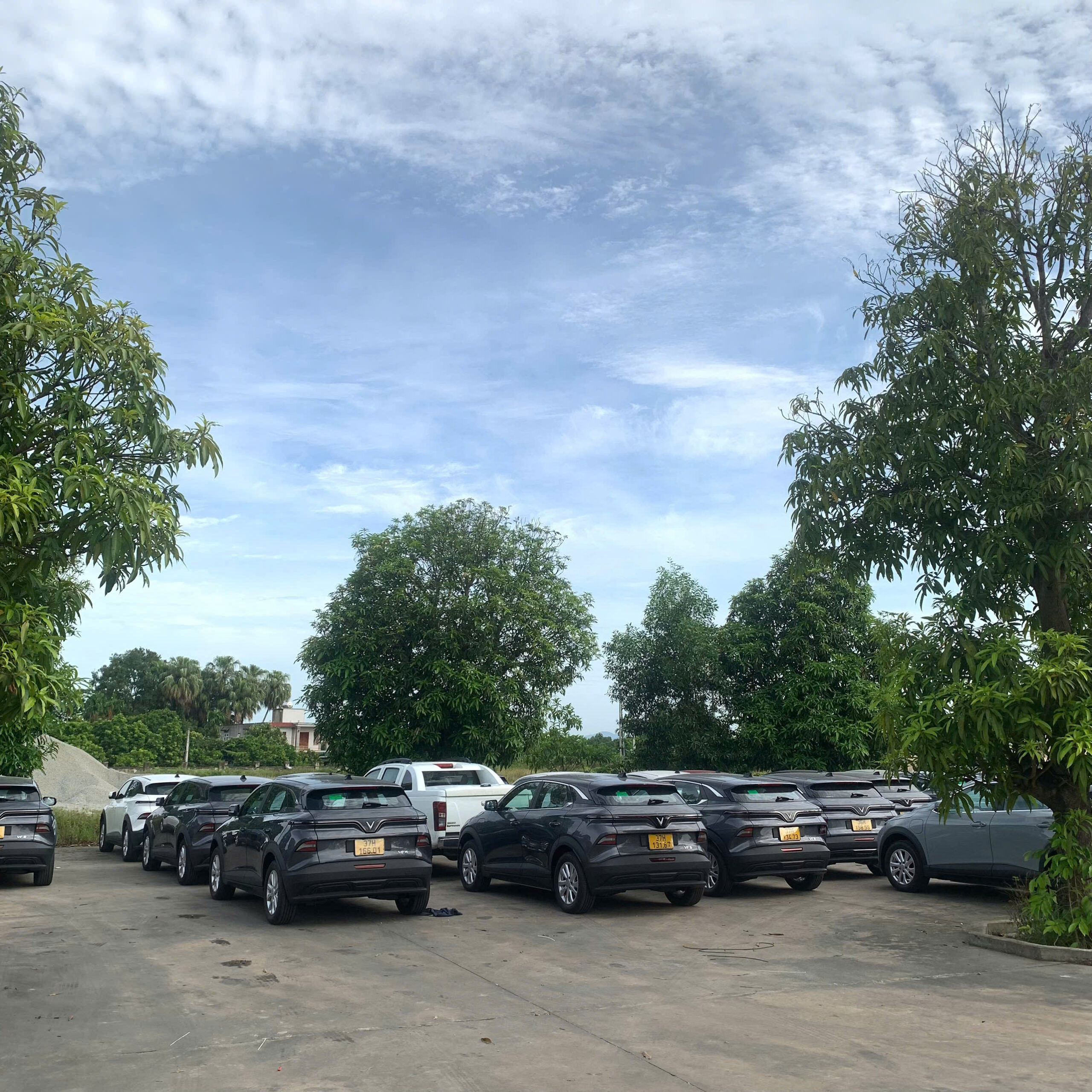 z6975221597797_75fe9ad46b2afb84753490aaa1d6e559