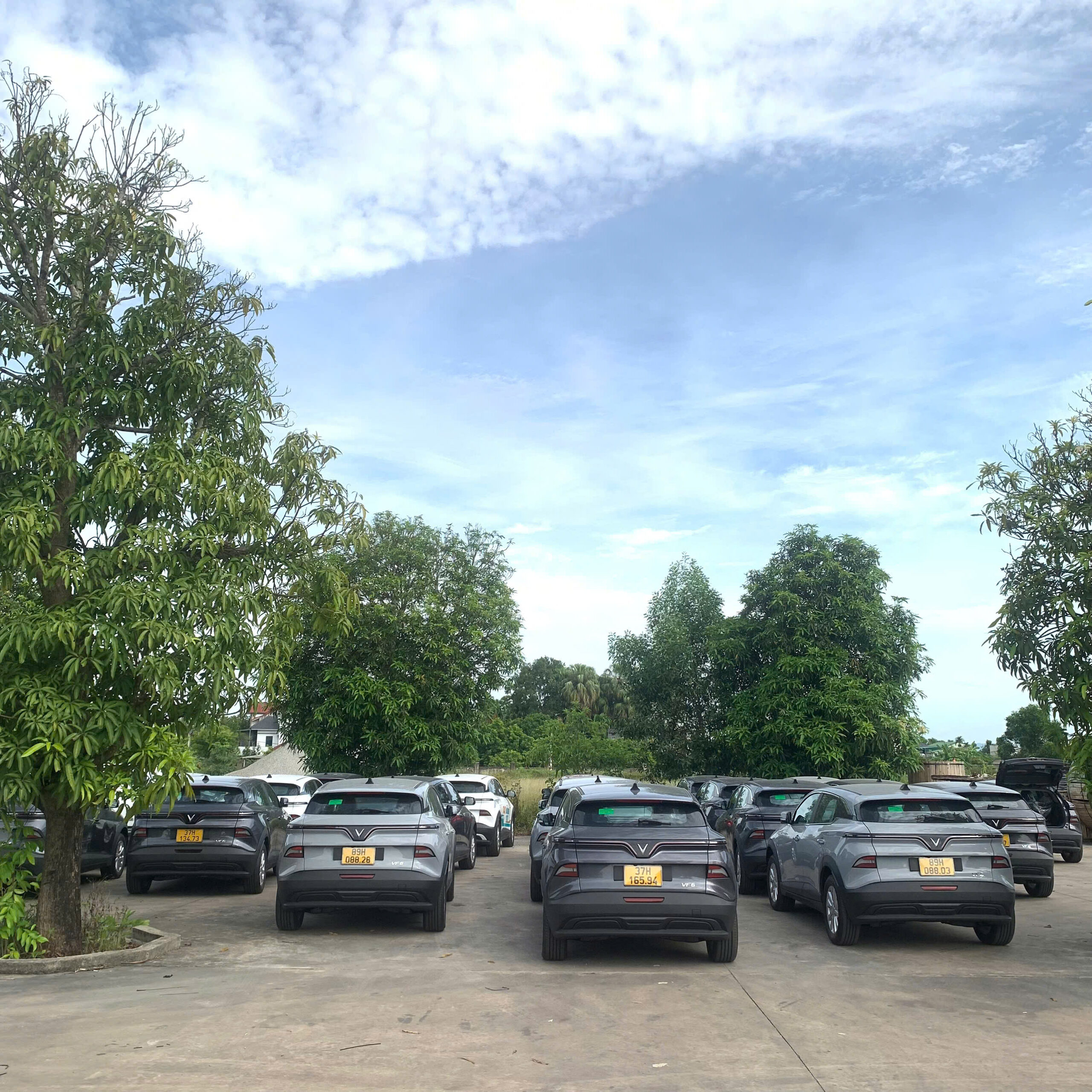 z6975221627014_2db88fda5630a7114ed1303d1179db07