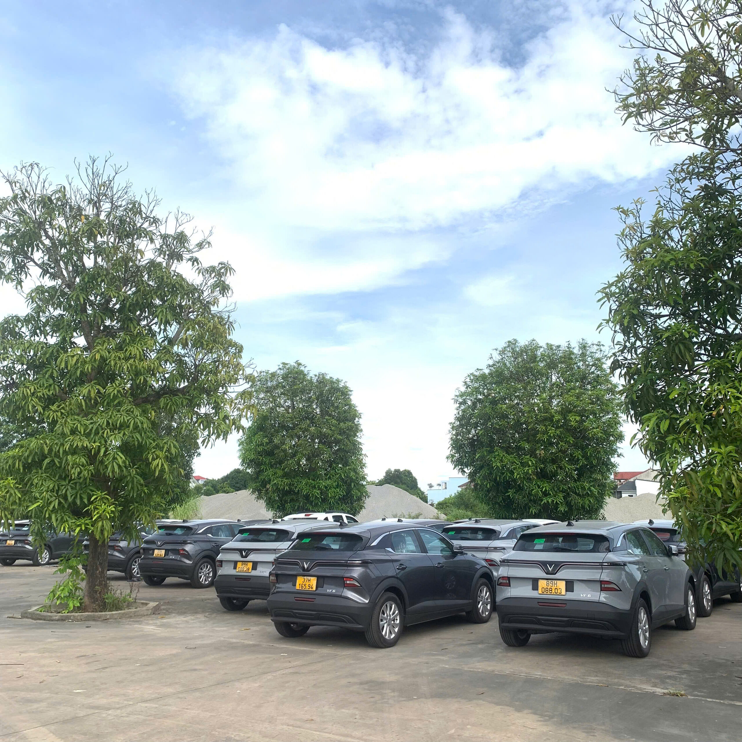 z6975221637894_8a0b06ca5bfad596f6d317a08a4b201b